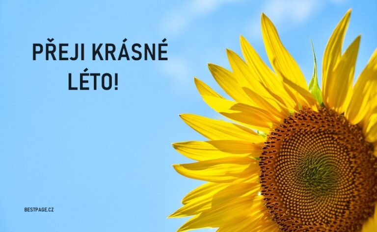 P n L to Kr sn L to Obr zky L to Obr zky S Textem p-n-l-to-kr-sn-l-to-obr-zky-l-to-obr-zky-s-textem